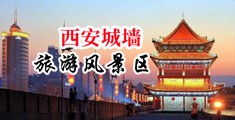 嗯…啊…好大好爽抖阴网站中国陕西-西安城墙旅游风景区